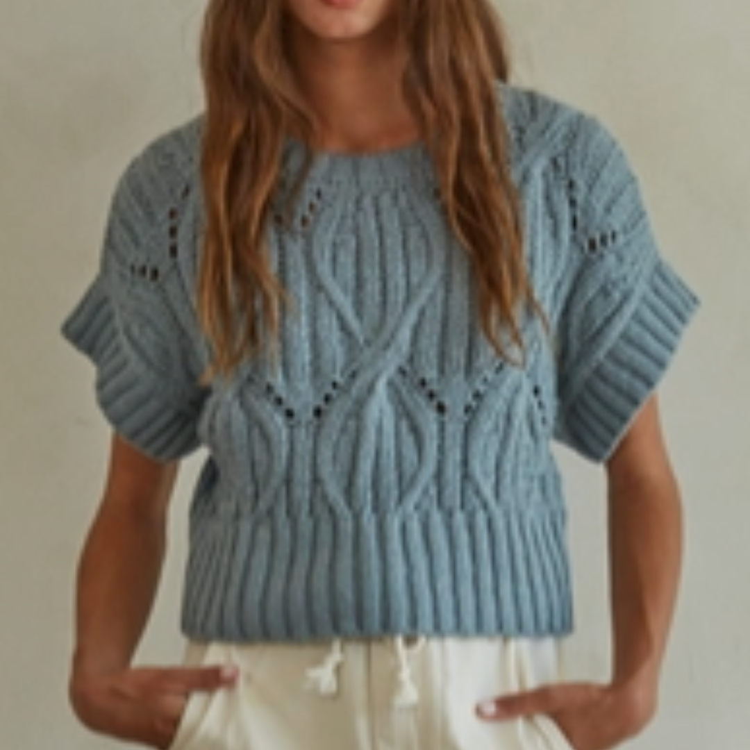 Allison Short Sleeve Sweater
